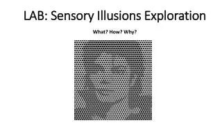 LAB: Sensory Illusions E xploration