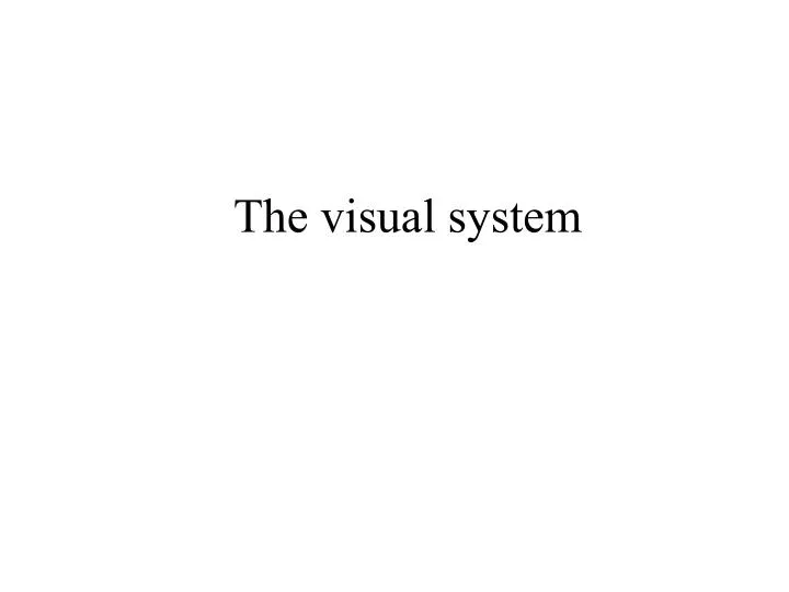 the visual system