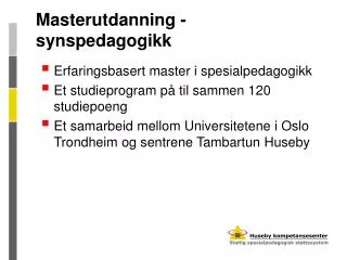 masterutdanning synspedagogikk