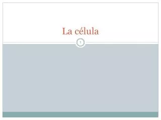 la c lula