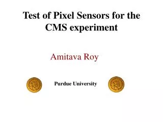 Test of Pixel Sensors for the CMS experiment