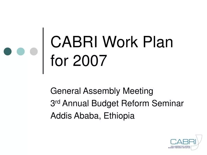cabri work plan for 2007