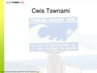 cwis tswnami