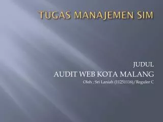 tugas manajemen sim