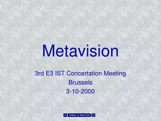 Metavision