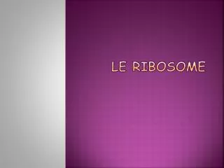 le ribosome