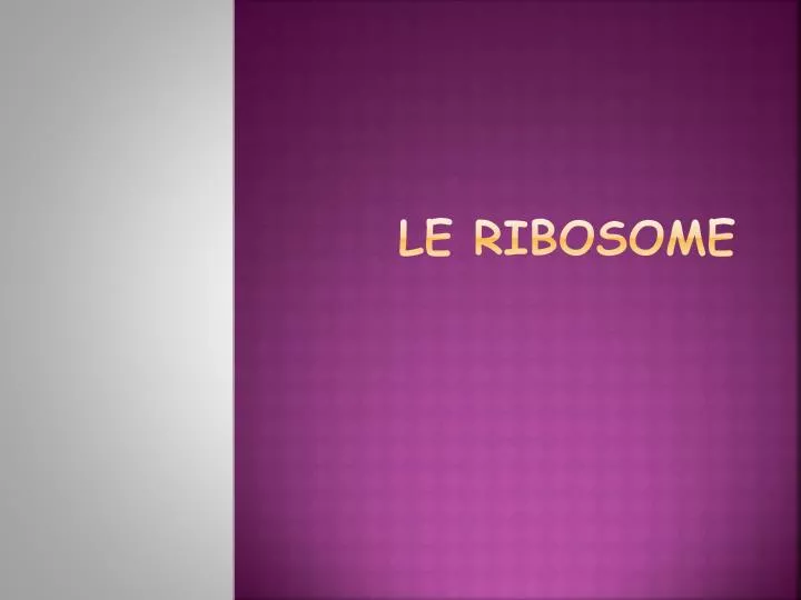 le ribosome