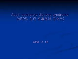 2008 11 28