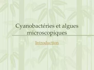 cyanobact ries et algues microscopiques