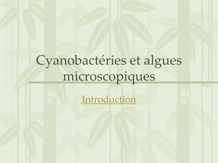 cyanobact ries et algues microscopiques