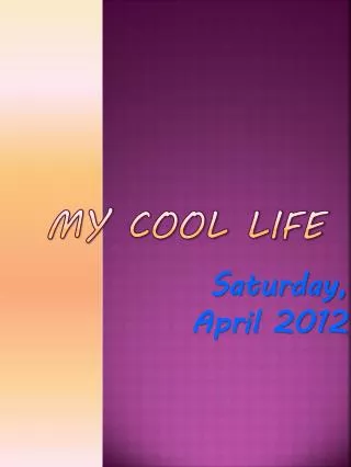 My Cool Life