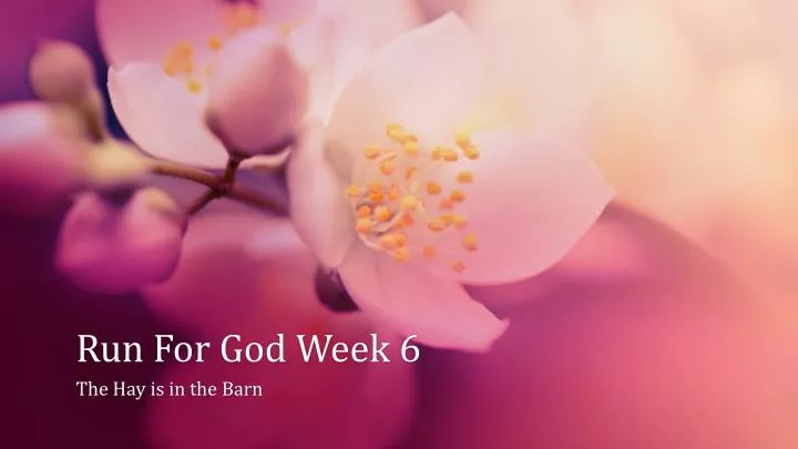 run for god week 6
