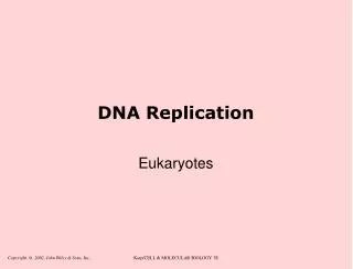 DNA Replication