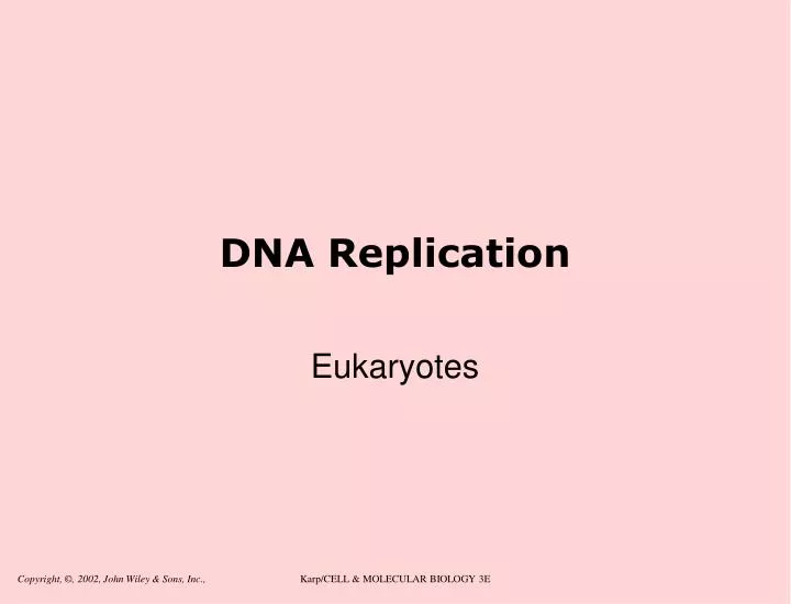 dna replication