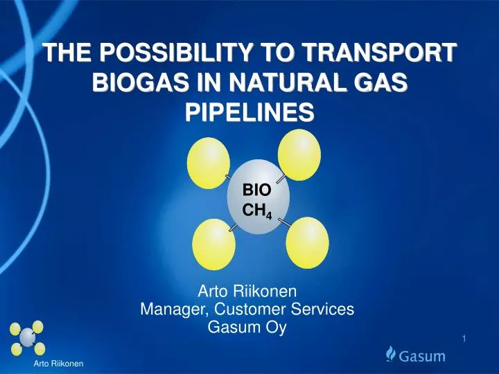 the possibility to transport biogas in natural gas pipelines