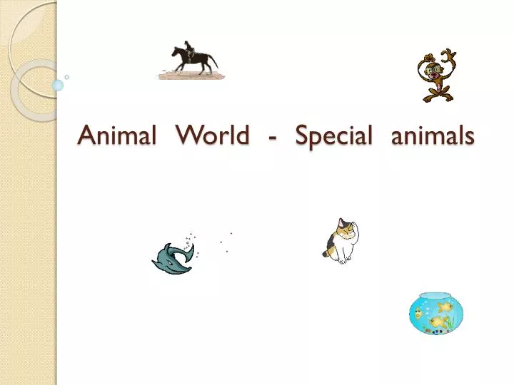 animal world special animals