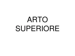 arto superiore