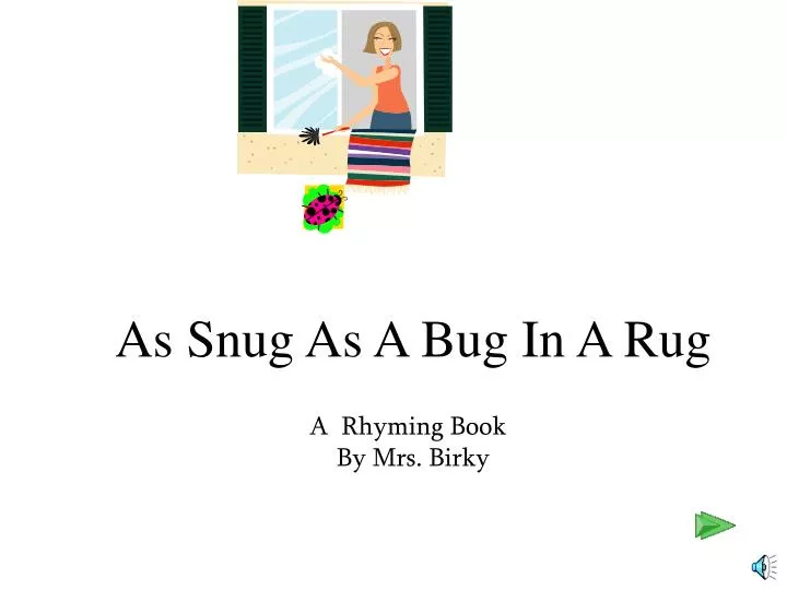 as snug as a bug in a rug