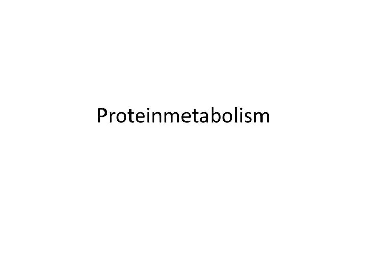 proteinmetabolism