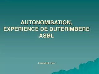 autonomisation experience de duterimbere asbl novembre 2008