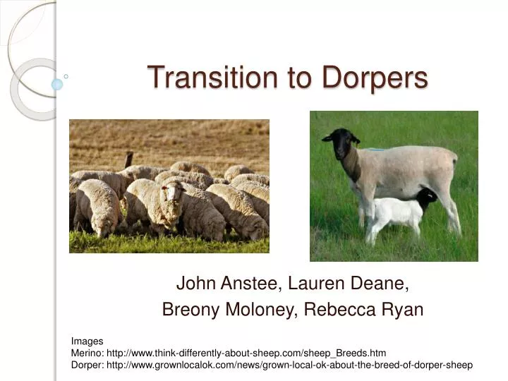 transition to dorpers