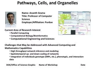 Pathways, Cells, and Organelles