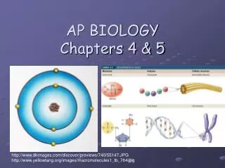 AP BIOLOGY Chapters 4 &amp; 5