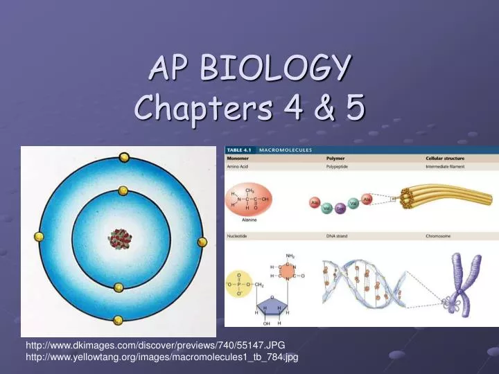 ap biology chapters 4 5