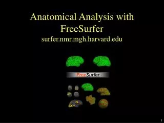 Anatomical Analysis with FreeSurfer surfer.nmr.mgh.harvard