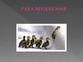 para reflexionar