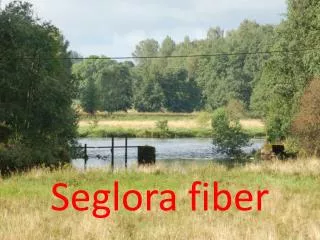 seglora fiber