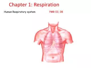 Chapter 1: Respiration