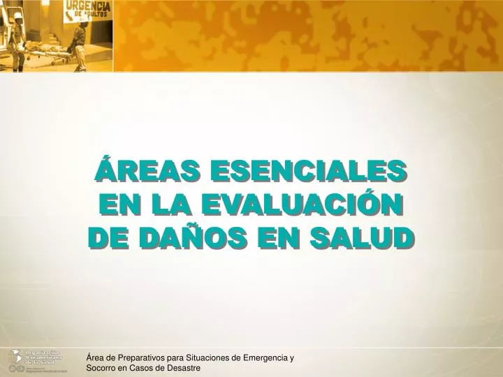 reas esenciales en la evaluaci n de da os en salud