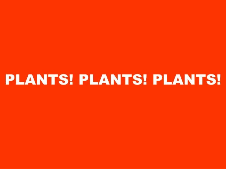 plants plants plants