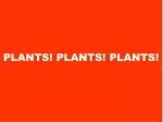 PLANTS! PLANTS! PLANTS!