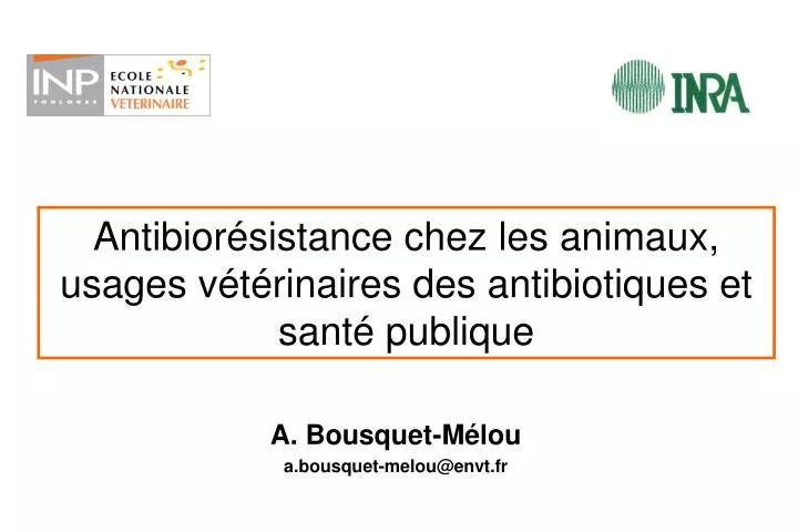antibior sistance chez les animaux usages v t rinaires des antibiotiques et sant publique