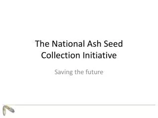 The National Ash Seed Collection Initiative