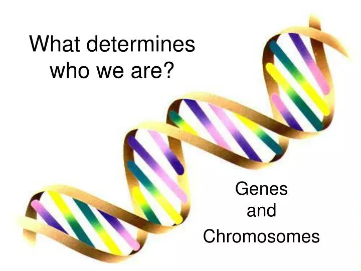 what determines who we are