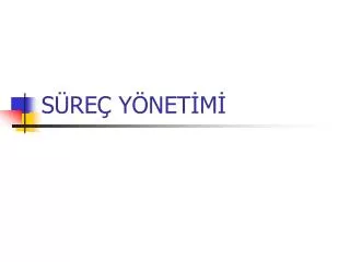 s re y net m