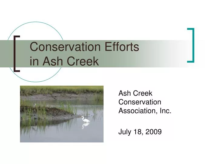 conservation efforts in ash creek