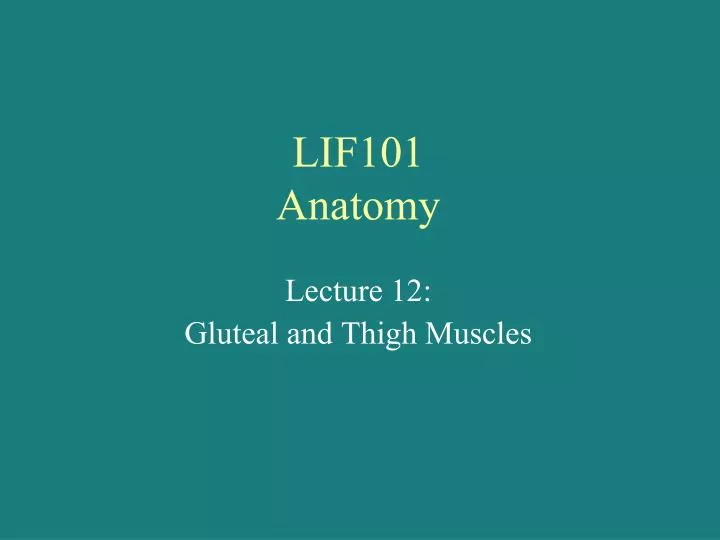 lif101 anatomy