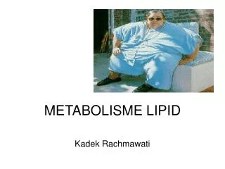 metabolisme lipid