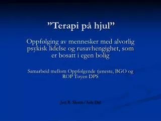 terapi p hjul