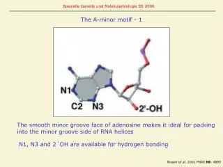 The A-minor motif - 1