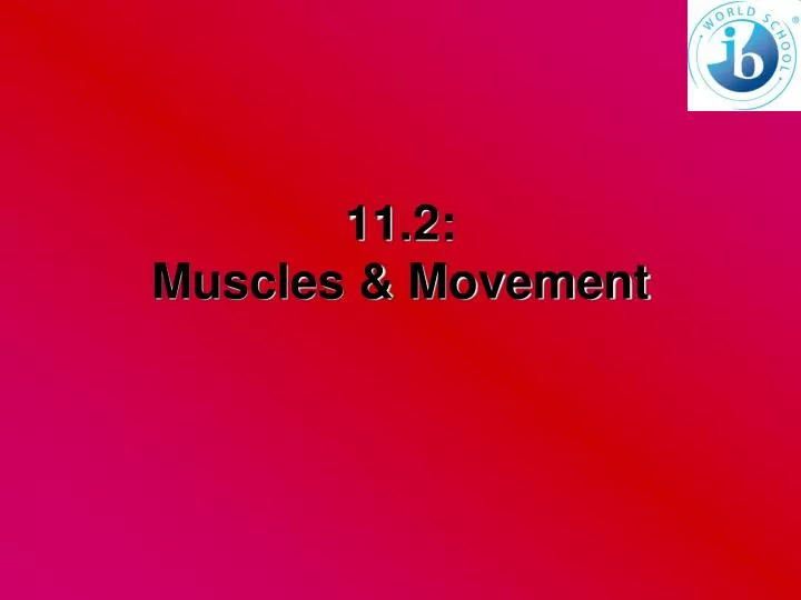 11 2 muscles movement
