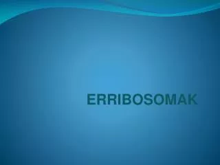 ERRIBOSOMAK