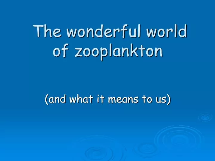 the wonderful world of zooplankton