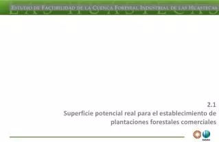 2.1 Superficie potencial real para el establecimiento de plantaciones forestales comerciales