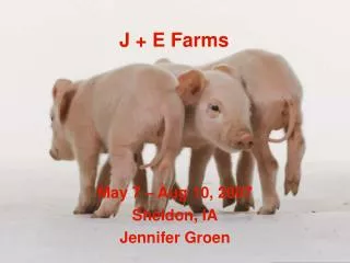 J + E Farms