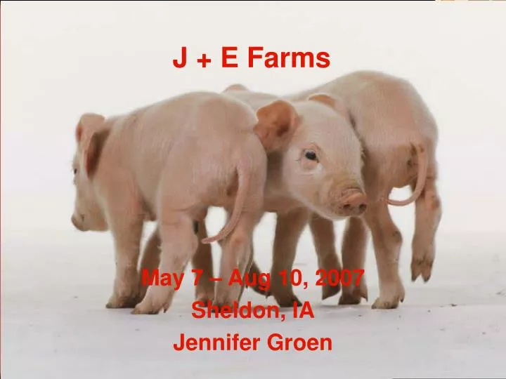 j e farms